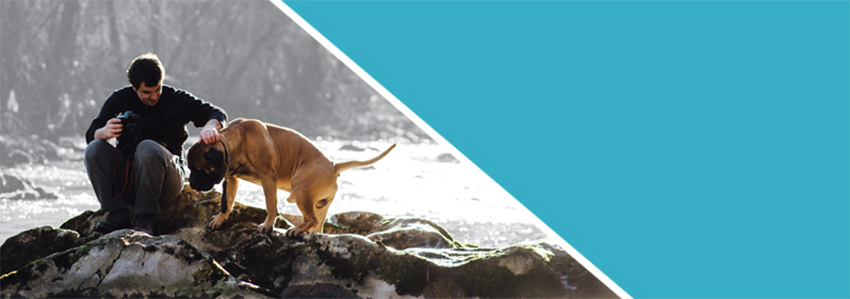 miniscopic-iq-tech-banner